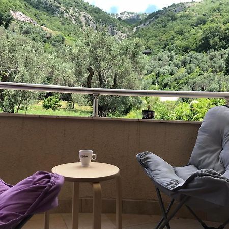 Vila V Lux Apartments Petrovac Luaran gambar